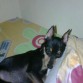 acostado en la cama de su mamá